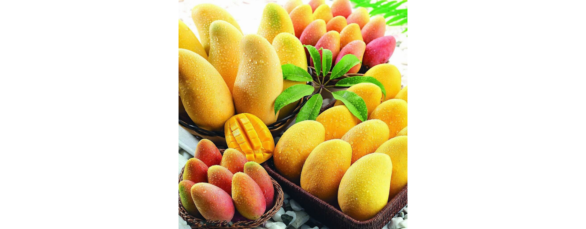 Польза манго для организма человека